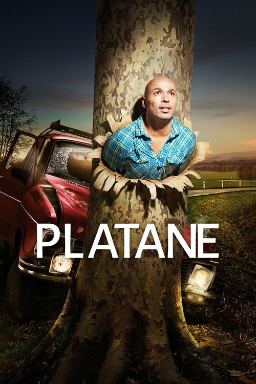 Platane постер