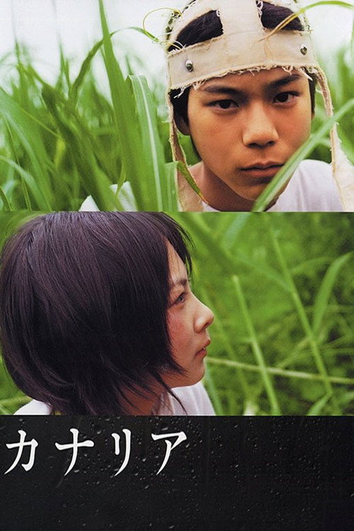 カナリア постер