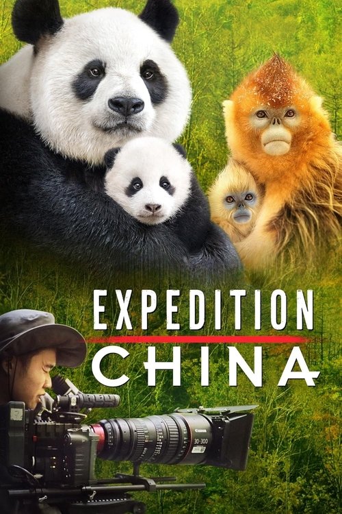 Expedition China постер