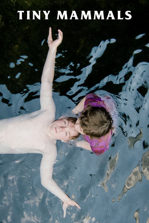 Tiny Mammals постер